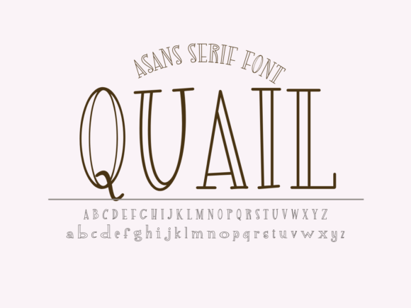 Quail: The Display Font That Brings Playful Energy to Your Brand